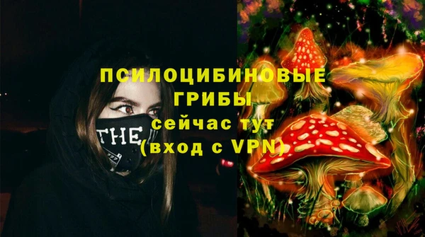 стаф Гусь-Хрустальный