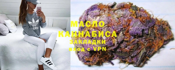 стаф Гусь-Хрустальный