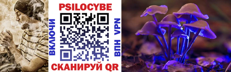 Псилоцибиновые грибы Magic Shrooms  Купить закладки  Суровикино 